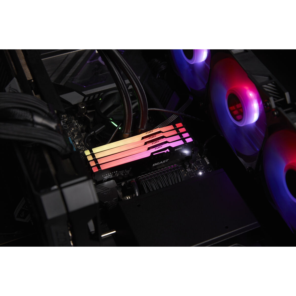 RAM-hukommelse Kingston KF560C30BBEA-8 8 GB DDR5 cl30